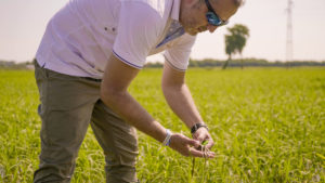 tecnoseed-innovazione-sostenibilita-agricola-agricoltore-riso